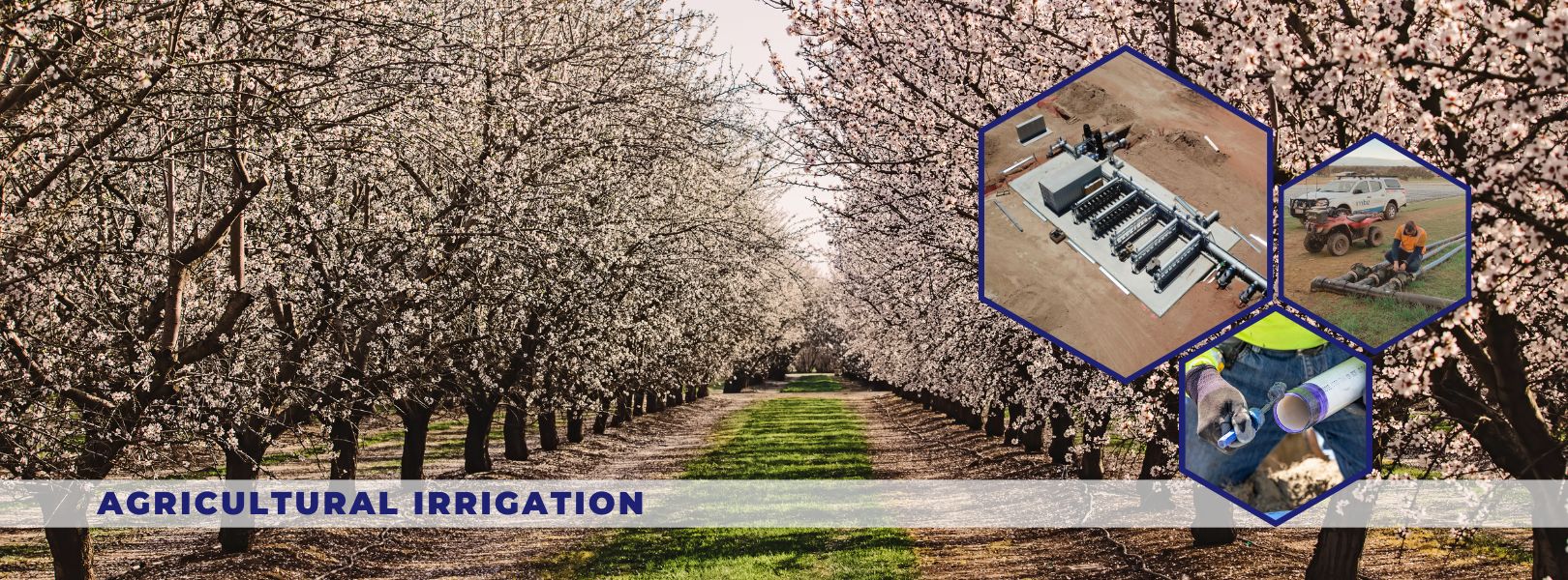 Agricultural Irrigation